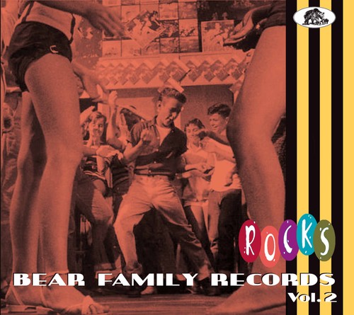 Various bear family - bear,